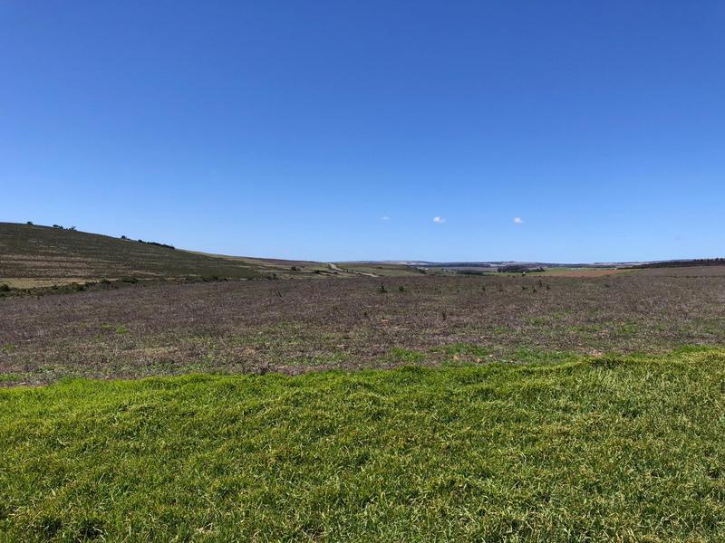 0 Bedroom Property for Sale in Baardskeerdersbos Western Cape